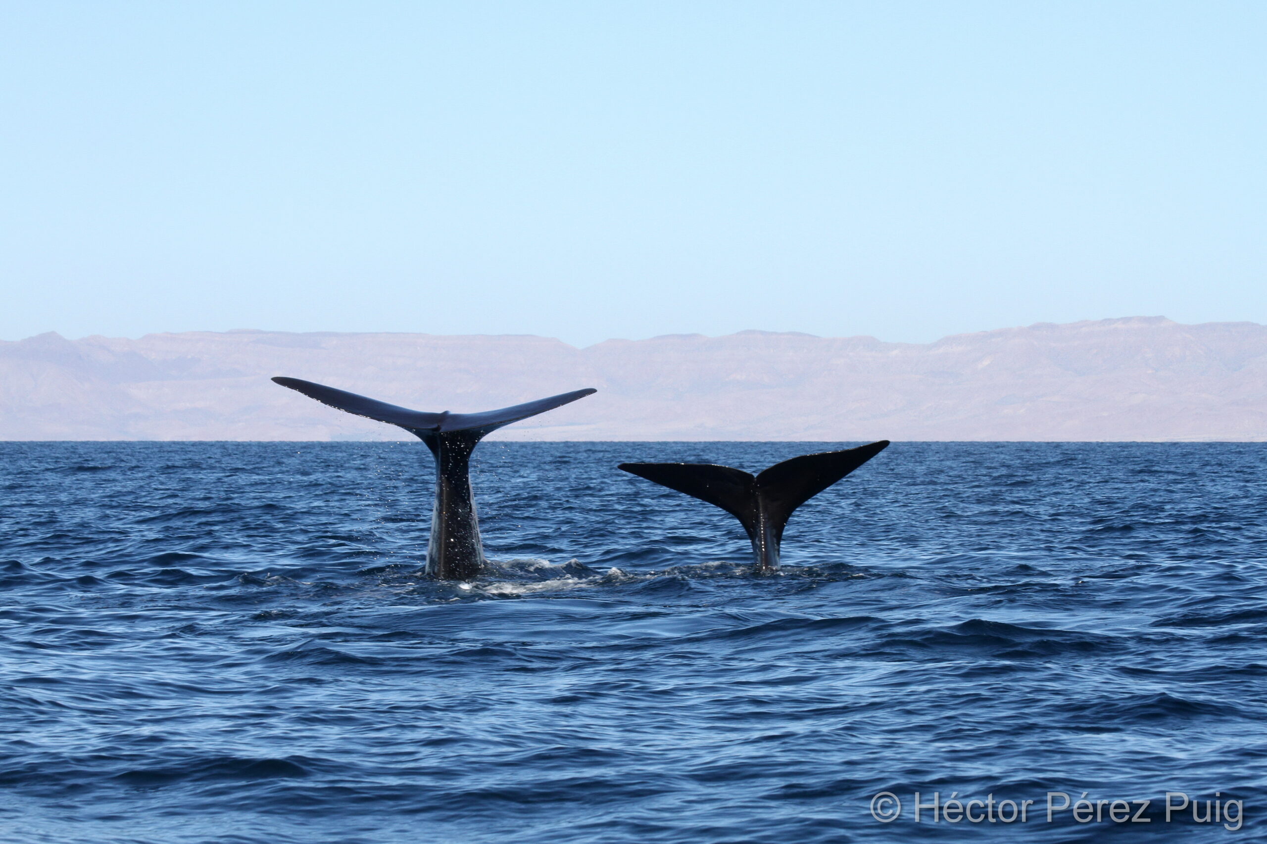 Pm_20131024_S483-C-6677